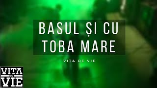 Vita de Vie  Basul si cu Toba Mare  Videoclip OFICIAL [upl. by Nawtna]