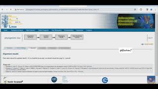 Construct Phylogenetic Tree phylogenyfr bioinformatics biochemistry phylogeny [upl. by Einalam]