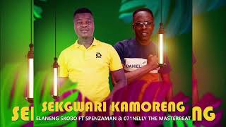 Sekgwari Kamoreng  Elaneng Skobo Feat Spenza Man o71 Nelly The Master Beat [upl. by Mariandi]