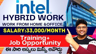 Intel Mega Hiring  Intel jobs  Graduate Intern  Latest jobs 2023 in Telugu  VtheTechee [upl. by Margette]