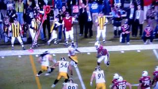 Troy Polamalu tackles his own teammate [upl. by Baler102]