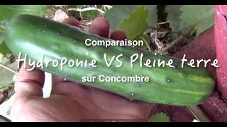 Comparaison entre culture hydroponique et pleine terre [upl. by Allerym]