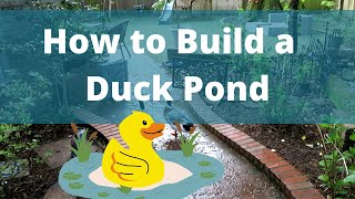 How to Create Duck Pond [upl. by Fernald162]