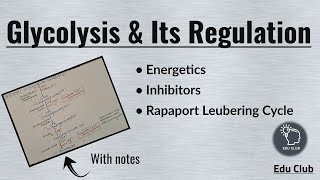 Glycolysis  Regulation  Energetics  Carbohydrate metabolism  Biochemistry [upl. by Etselec]