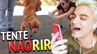 TENTE NÃO RIR  CACHORRO HUMANO 10 [upl. by Onibag]