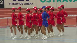 Mažoretky GINA  Brodek u Přerova  defile classic baton juniors  Ostrava 2023 Majorettes [upl. by Ciryl573]