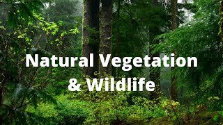 natural vegetation and wildlife class 9 ll NCERT  Social science by Deepak sir [upl. by Enyawud]