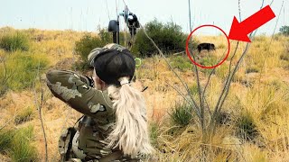 INSANE Archery javelina hunt double Surrounded amp Afraid [upl. by Yrrah902]