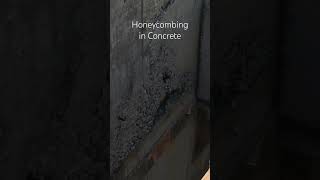 Honeycombing in concrete buildingconstruction concrete structure civil construction [upl. by Nahaj]