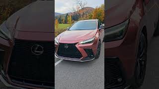 Couleur à vomir ou un grand WOW Lexus NX 450h [upl. by Doone]