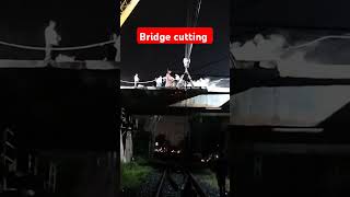 Bridge cutting railway stationviralvideo trending ytshorts festivalshorts [upl. by Winograd893]