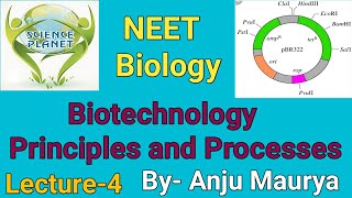 Biotechnology Principles and Processes Lecture4 By Anju Maurya [upl. by Sibel407]