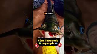 Como librarse de un pez gato shortvideo [upl. by Berk]