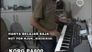 DUA PILIHAN DANGDUT KORG PA800 [upl. by Ecirtnahs821]