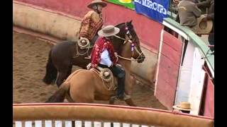 Rodeo Campeones de Chile [upl. by Dnomad]