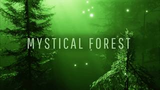 Enchanting Forest Music 🎵 for Relaxation and Meditation 🌲✨ Path to The Elven Lands [upl. by Pisarik]