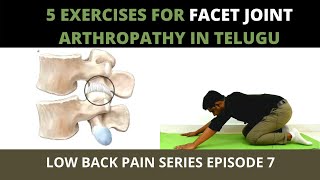 5 Exercises for Facet Joint Arthropathy in Telugu  Facet joint pain exercises [upl. by Vittoria]