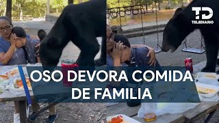 Oso sorprende a familia y devora su comida en Chipinque [upl. by Thagard]