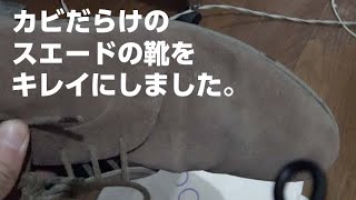 カビだらけのスエードの革靴をキレイにしました。 [upl. by Rainger473]