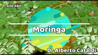 Moringa [upl. by Wallford]