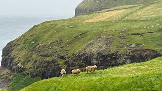 SCOTLAND amp FAROE ISLANDS [upl. by Galang]