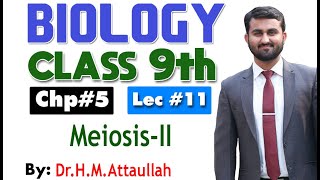 MeiosisII  Cell cycle  Chapter 5  9th class Biology  Lec11 [upl. by Rayham169]