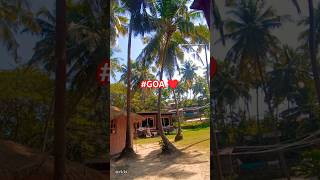 🔥DISCOVER GOA 🏝️travel [upl. by Rehpretsirhc]