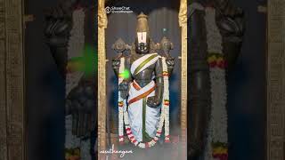 Duvadasi Tithi Perumal worship துவாதசி திதி பெருமாள் வழிபாடு [upl. by Ymmit72]