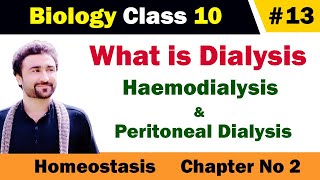 What is dialysis class 10  haemodialysis and peritoneal dialysis [upl. by Almallah]