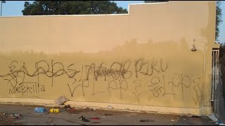 Lueders Park Piru Gang Related Homicide in Willowbrook [upl. by Ynner980]