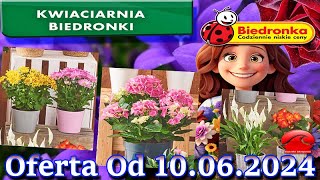 𝐁𝐈𝐄𝐃𝐑𝐎𝐍𝐊𝐀🐞Kwiaciarnia Biedronki Nowa Oferta Od 10062024 Kwiatowe Inspiracje Biedronki Tanie Kwiaty [upl. by Meesaw]