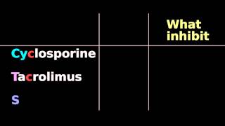 Immunosuppressive pharmacology Cyclosporine Tacrolimus Sirolimus mTOR FK IL2 [upl. by Elocaj504]