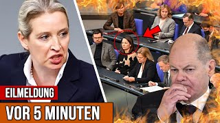 Knast statt rücktritt🚨Baerbock kreidebleich💥AfD rede geht gerade überall viral [upl. by Delanos]