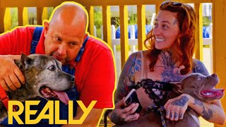 Most EMOTIONAL Abused Puppy Stories That Will Make You Cry  Pit Bulls And Parolees [upl. by Gerry447]