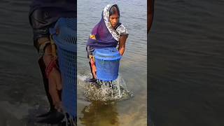 Unique Fishing technique by river Sunitajikakitchen1 fishingcatchingkitchenfishingvideo [upl. by Ennovad]