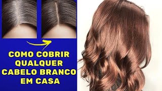 COMO COBRIR QUALQUER CABELO BRANCO  Segredo de Salão [upl. by Rodina]