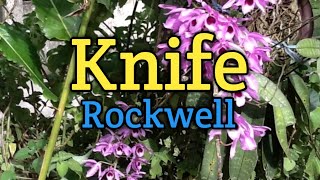 KNIFE  Rockwell Lyrics Video [upl. by Priscilla]