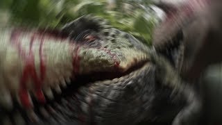 Dino Duels Ep 8 TRex vs Carnotaurus [upl. by Ardnalak]