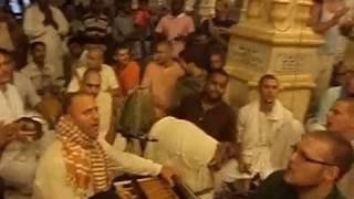 Raghunath Cappo at Krishna Balaram Mandir temple Vrindavan 24 hour Kirtan [upl. by Klein]