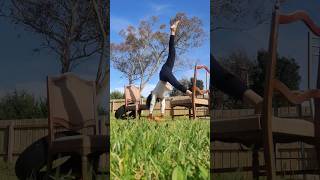 ShirshasanaHEAD STAND POSE shorts  trending yoga viral [upl. by Randa594]