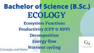 Ecosystem functions  Productivity  Primary and secondary productivity GPP and NPP  For BSc [upl. by Gridley741]