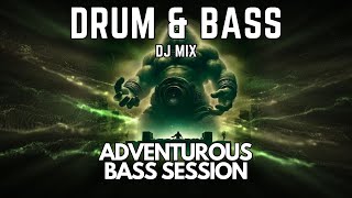 Bass Session 3  DnB Mix  Mixed by Drop The Mike [upl. by Sregor]