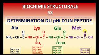 BIOCHIMIE STRUCTURALE SVI S3  DETERMINATION DU pHi DUN PEPTIDE [upl. by Brennan]