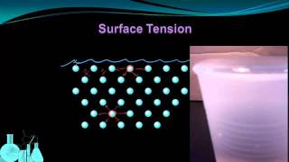 Chemistry 82b Properties of Liquids Surface Tension and Capillary Action [upl. by Piks]