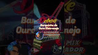 Barquinha de Ouro Eletronejo Remix shorts sertanejoremix [upl. by Yllor382]