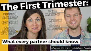 The First Trimester of Pregnancy What Every Partner Needs to Know  Symptoms Changes Baby Growth [upl. by O'Mahony]