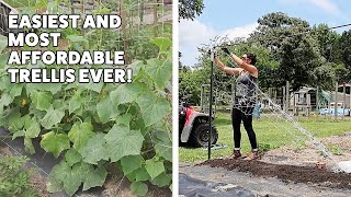 The Easiest DIY Garden Trellis Ever [upl. by Brufsky212]