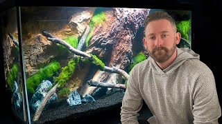 NEW 90 GALLON TANK for My Jack Dempsey Cichlids [upl. by Nyliuqcaj]