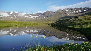 Hornstrandir Iceland 50 Mile Solo Trek [upl. by Grosvenor]