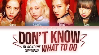 BLACKPINK  Dont Know What To Do Color Coded Lyrics EngRomHan가사 [upl. by Dreeda75]